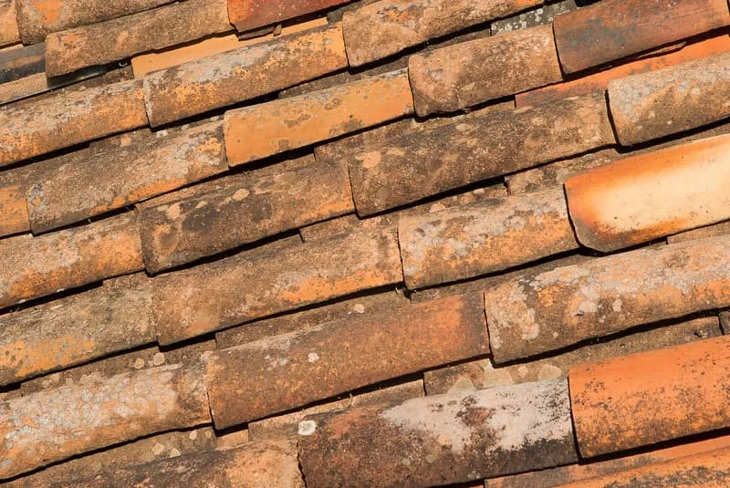 Tejas de barro cocido