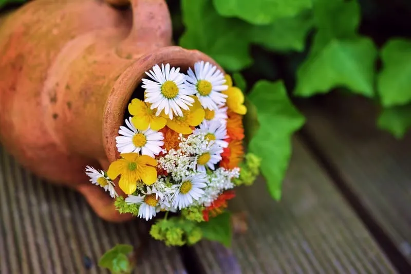 Maceta de terracota con flores
